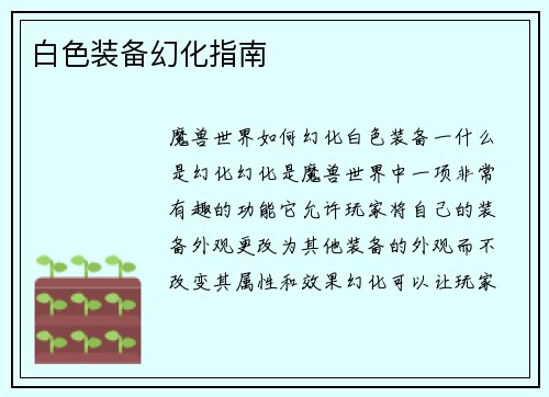 白色装备幻化指南